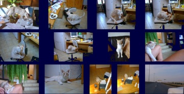 Open Picture Space Screenshot